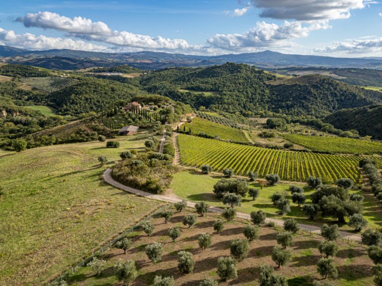 Collemassari