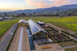 Calwine