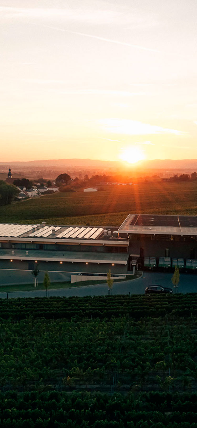 Weingut Dreissigacker