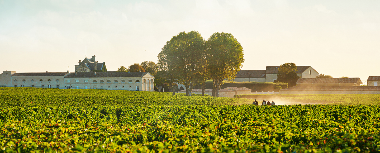 Château Mouton Rothschild