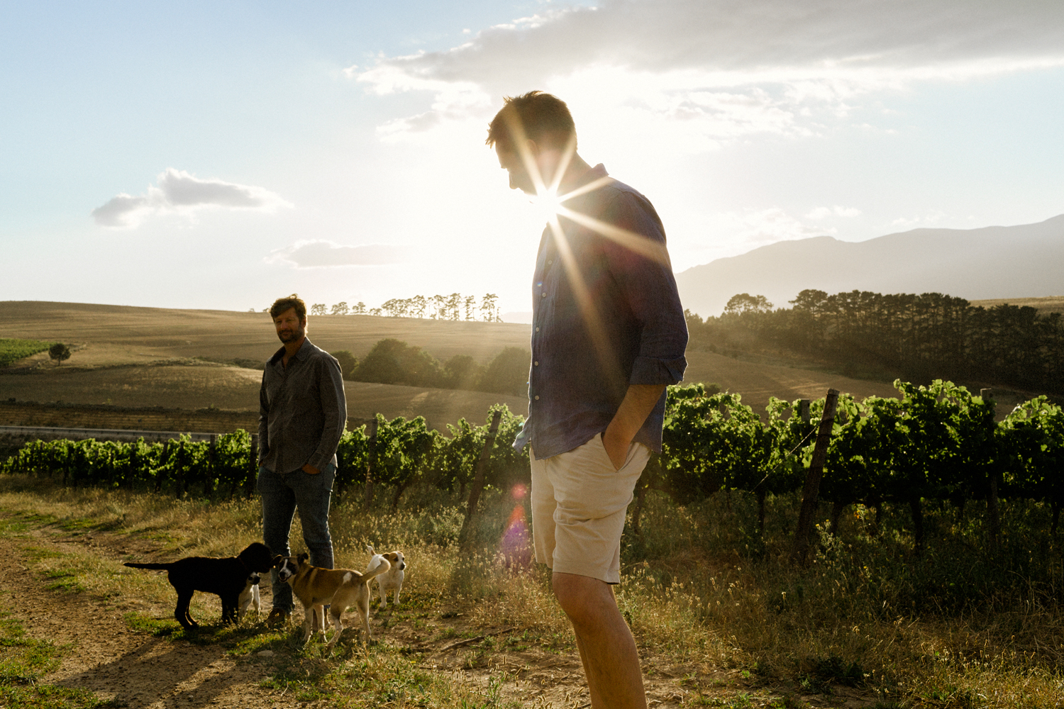 Crystallum Wines