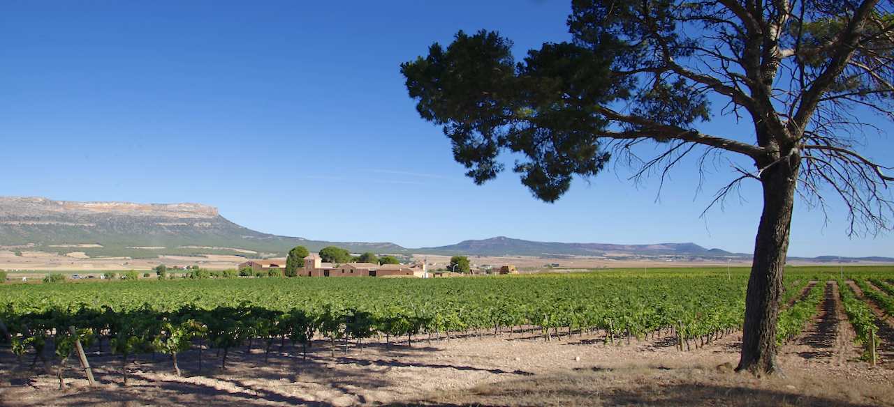 Hacienda El Espino