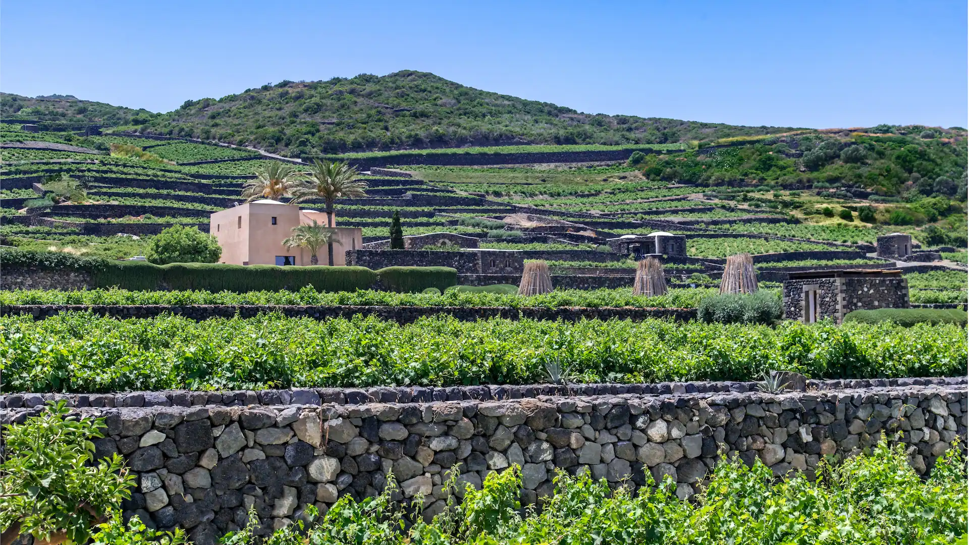 Donnafugata