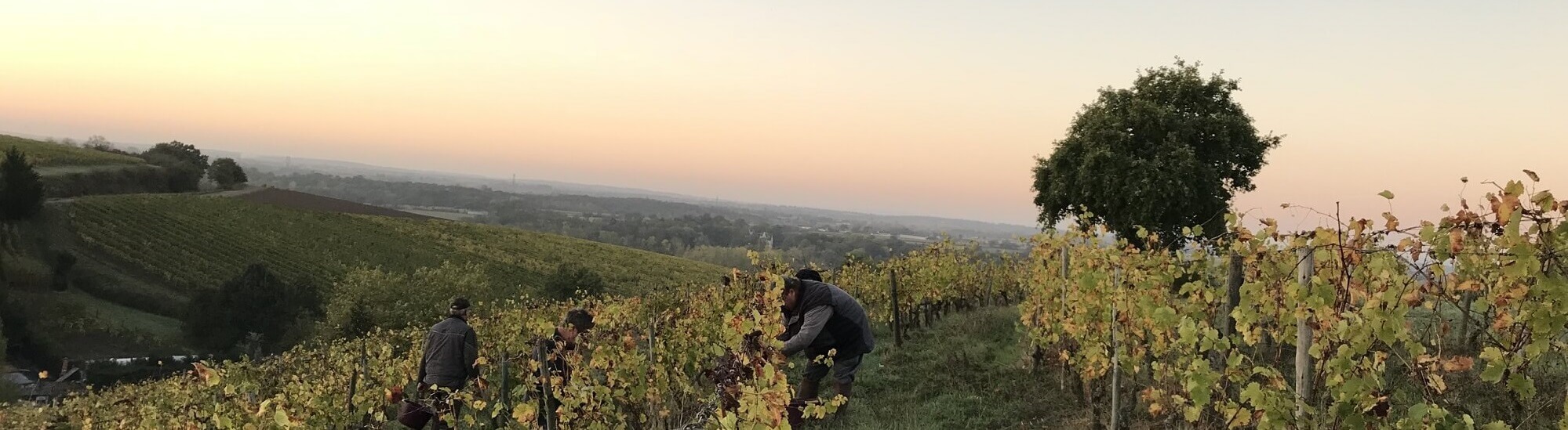 Famille Vaillant- Les Grandes Vignes