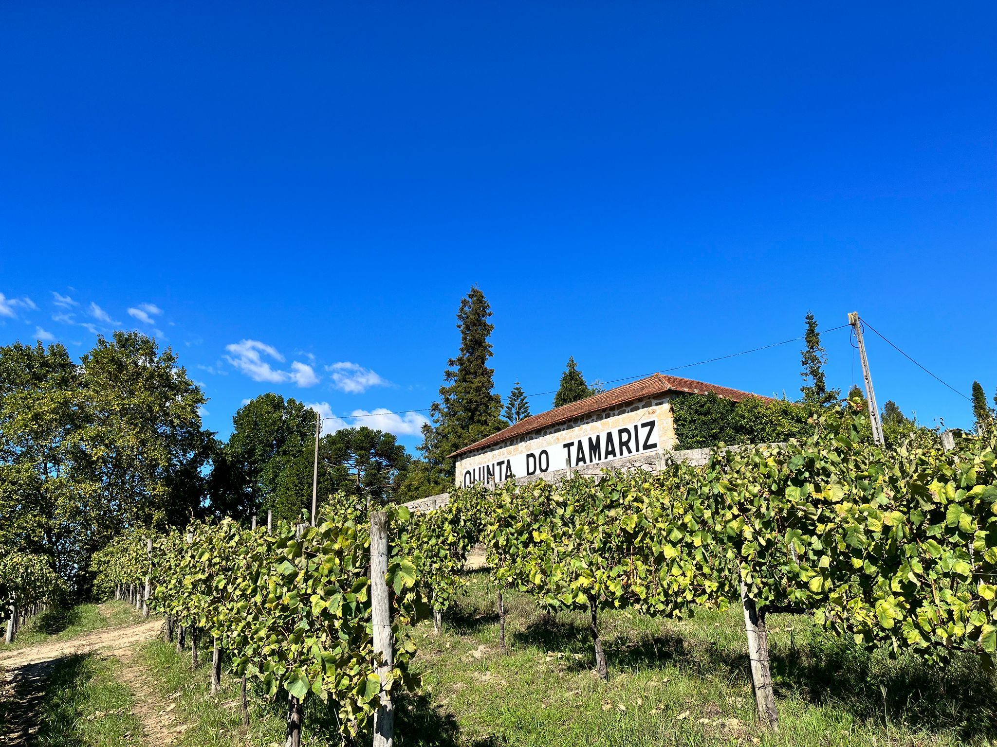 Quinta do Tamariz
