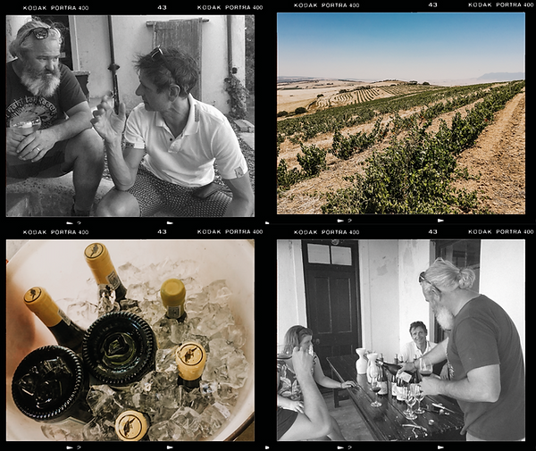 Equinox Wines