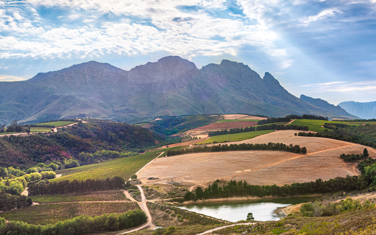 Le Riche Wines