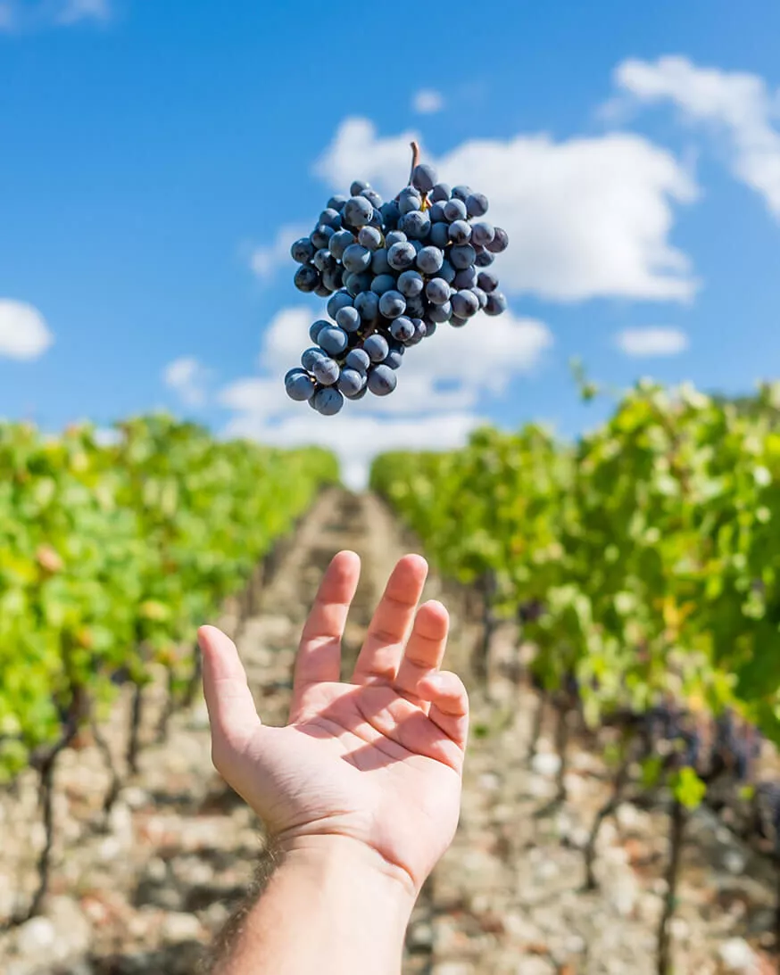 Marchesi Frescobaldi