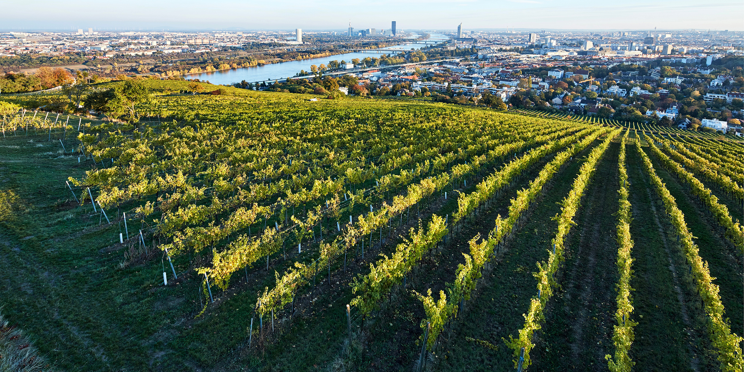 Weingut Tegernseerhof