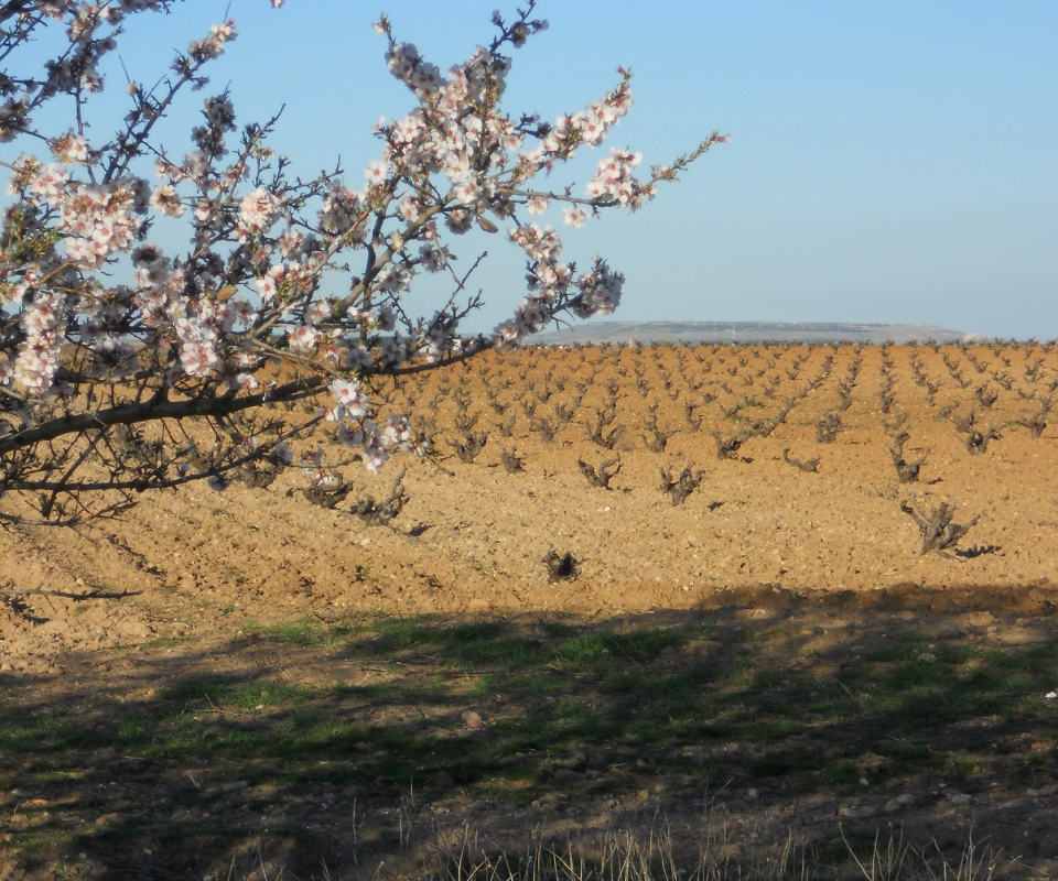 Bodegas Iturria