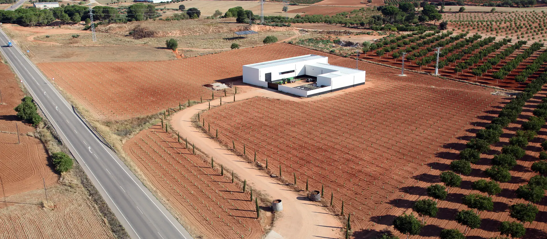 Bodegas y Viñedos Ponce