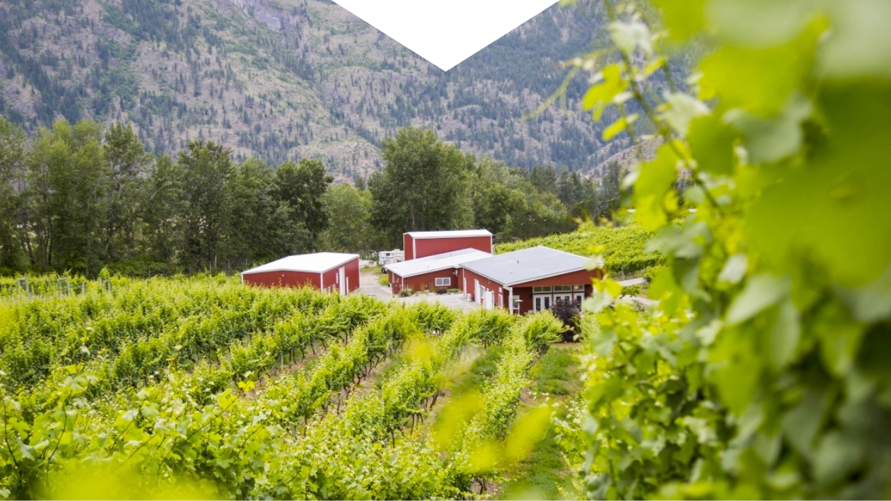 Meyer Family Vineyards