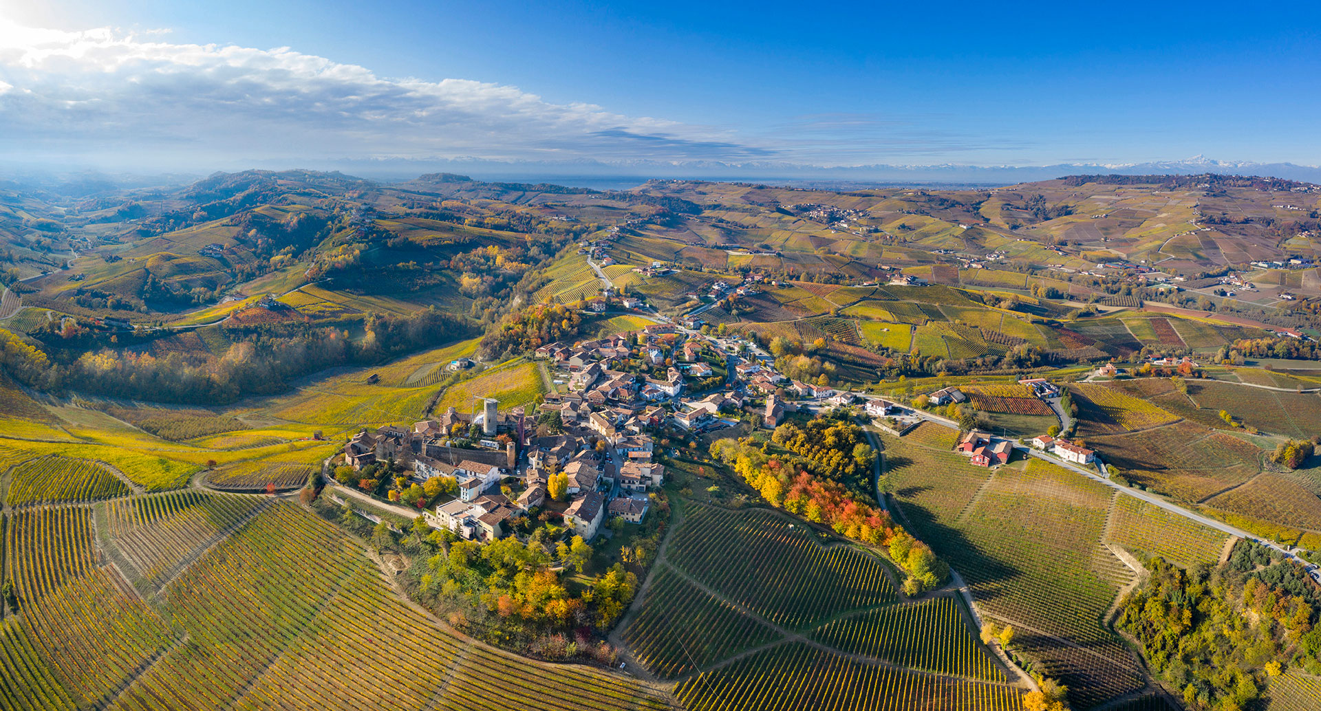 Vietti s.r.l.
