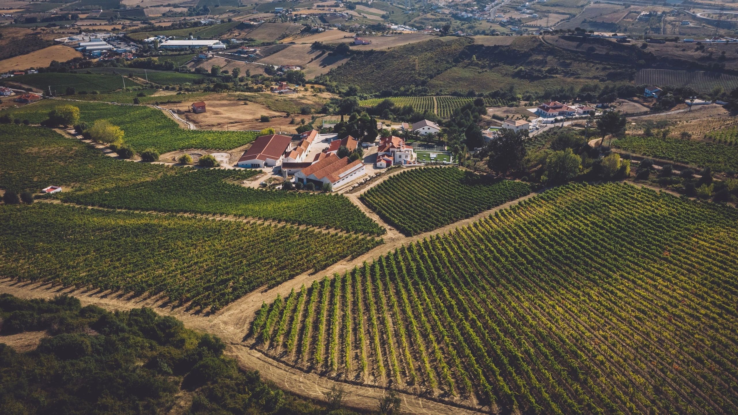 Winery Gruber Röschitz