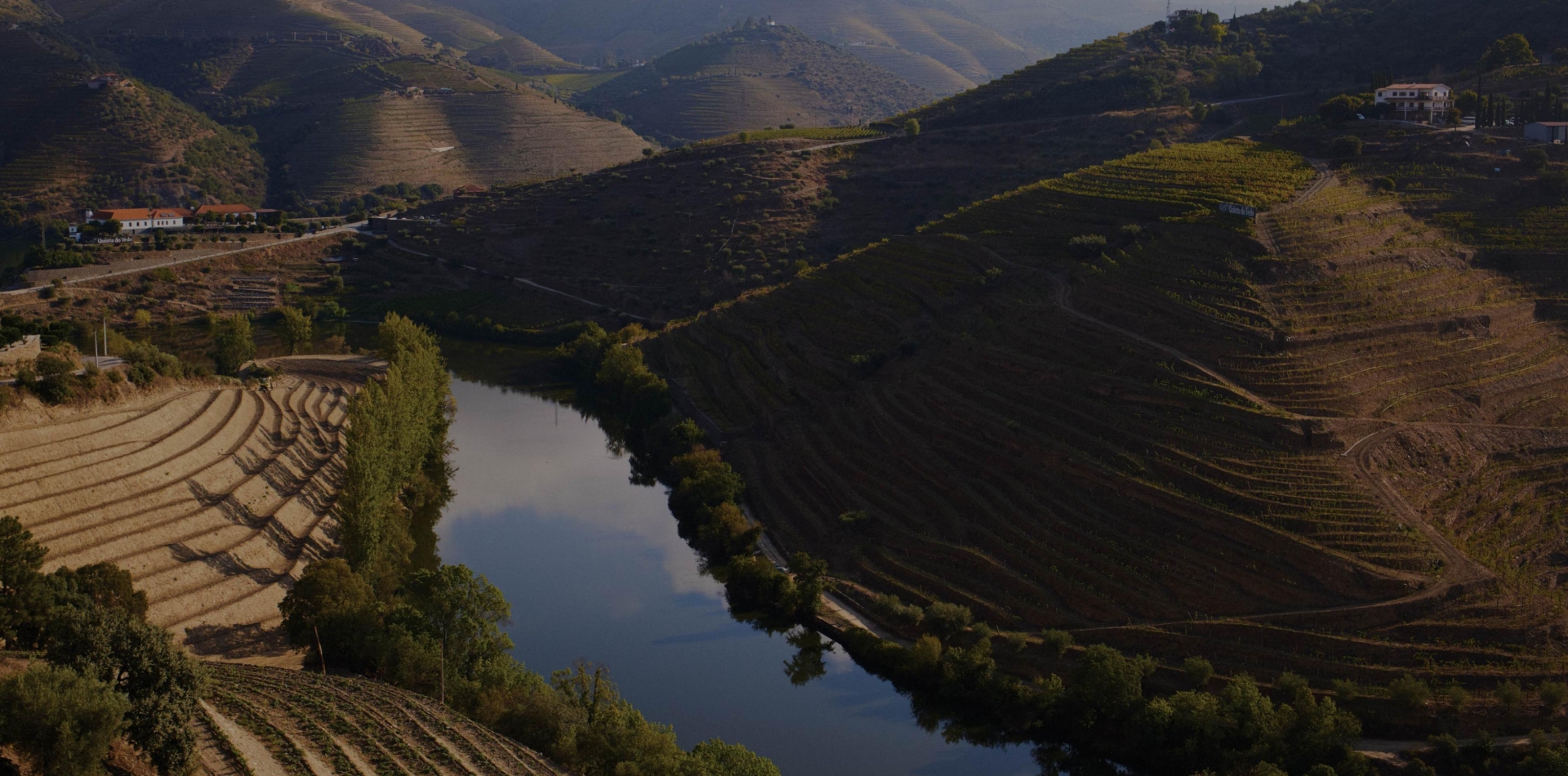Niepoort Vinhos