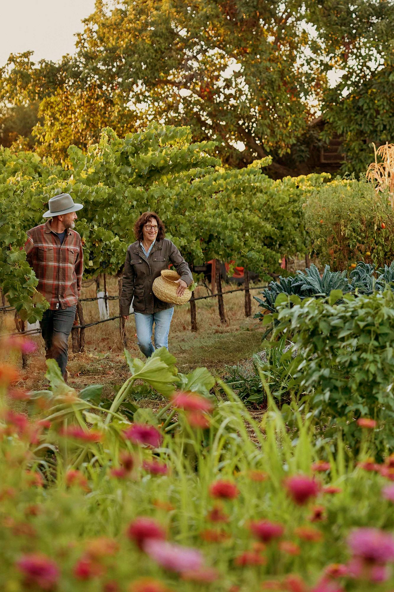 Matthiasson Family Vineyards