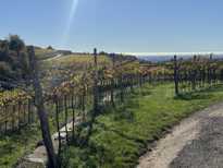 Cascina Disa - Elio Sandri