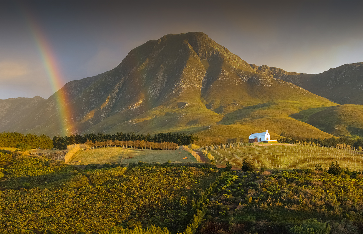 Ataraxia Wines