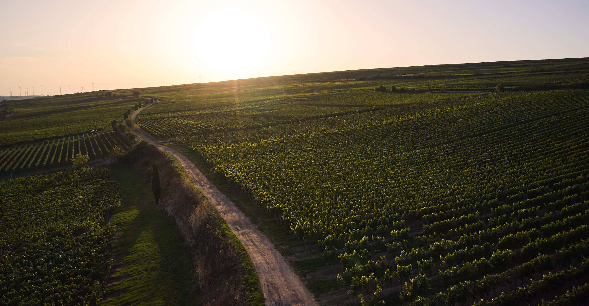 Weingut Wittmann