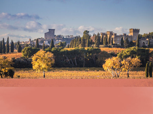 Domaine Saint Préfert