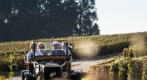 Les Vignobles Champenois