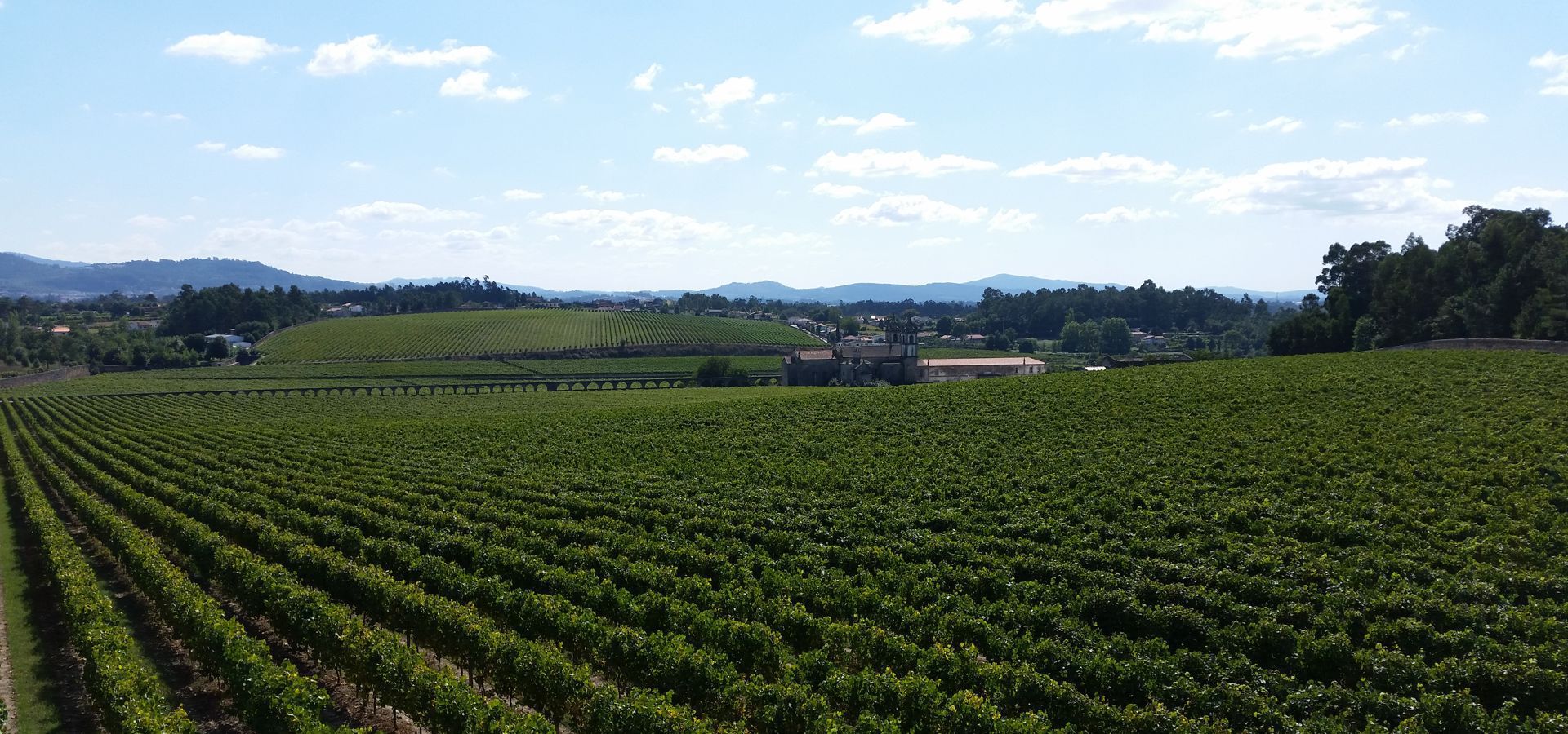 Quinta D´Amares
