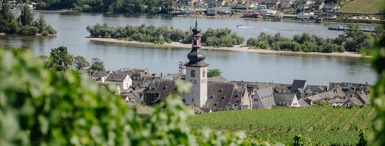 Weingut Balthasar Ress KG
