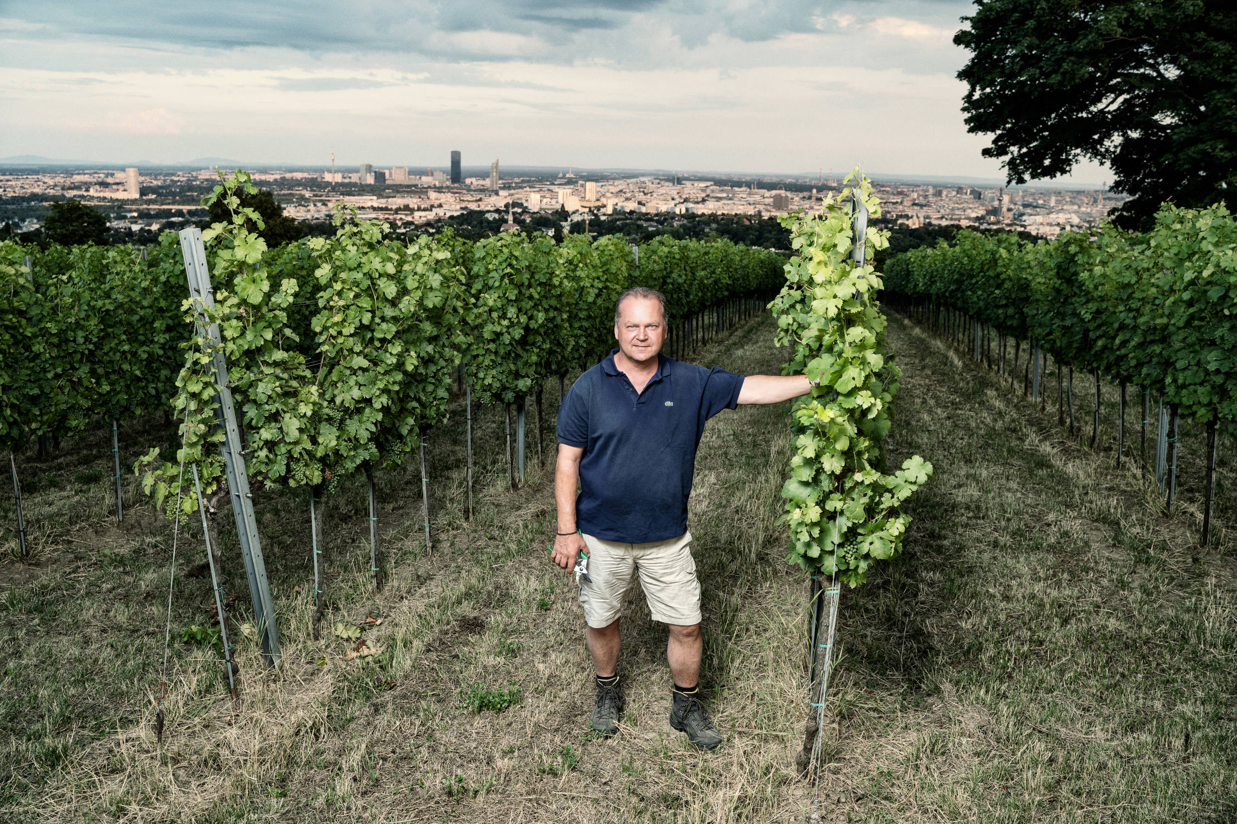 Weingut Wieninger