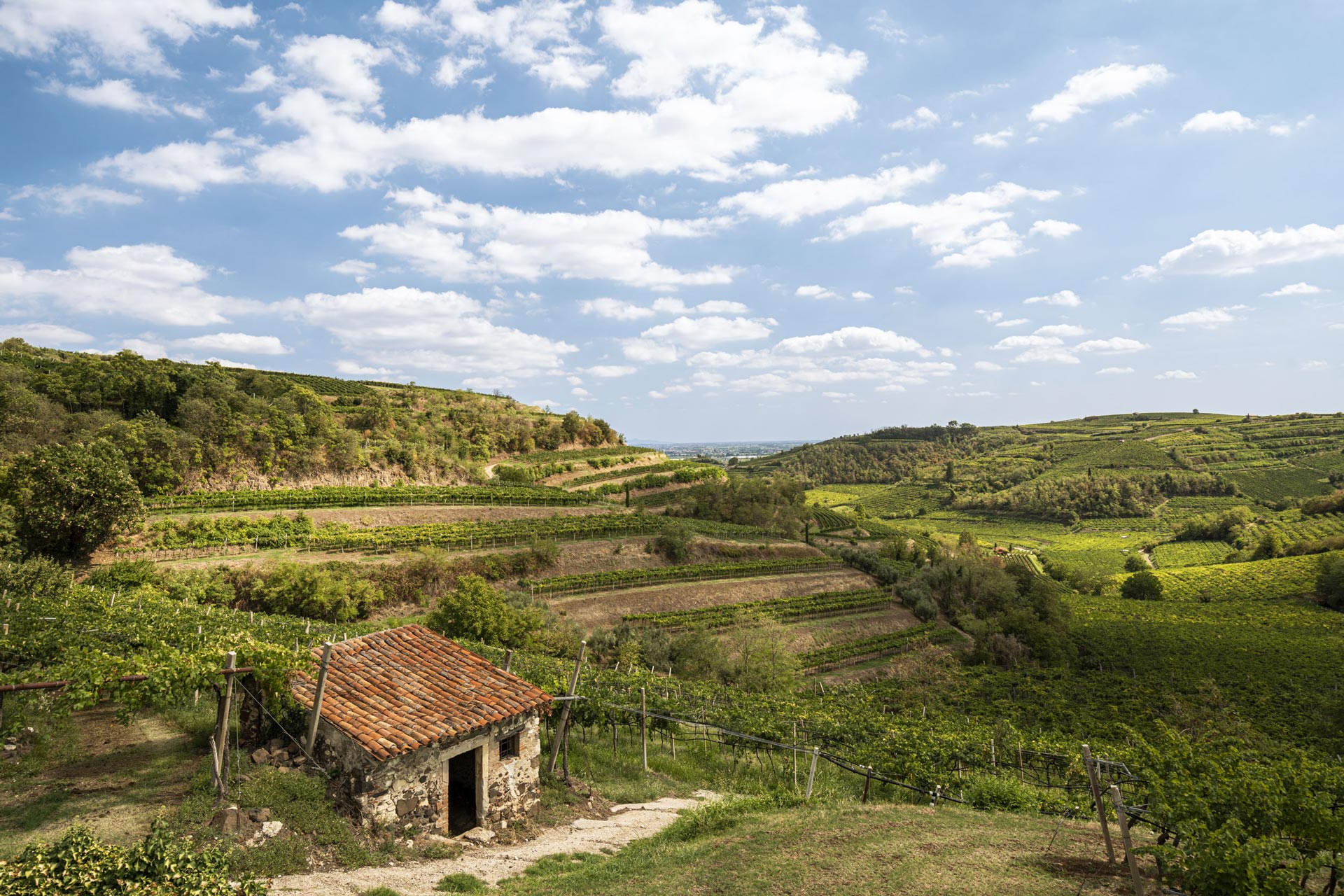 Azienda Agricola di Graziano Prà
