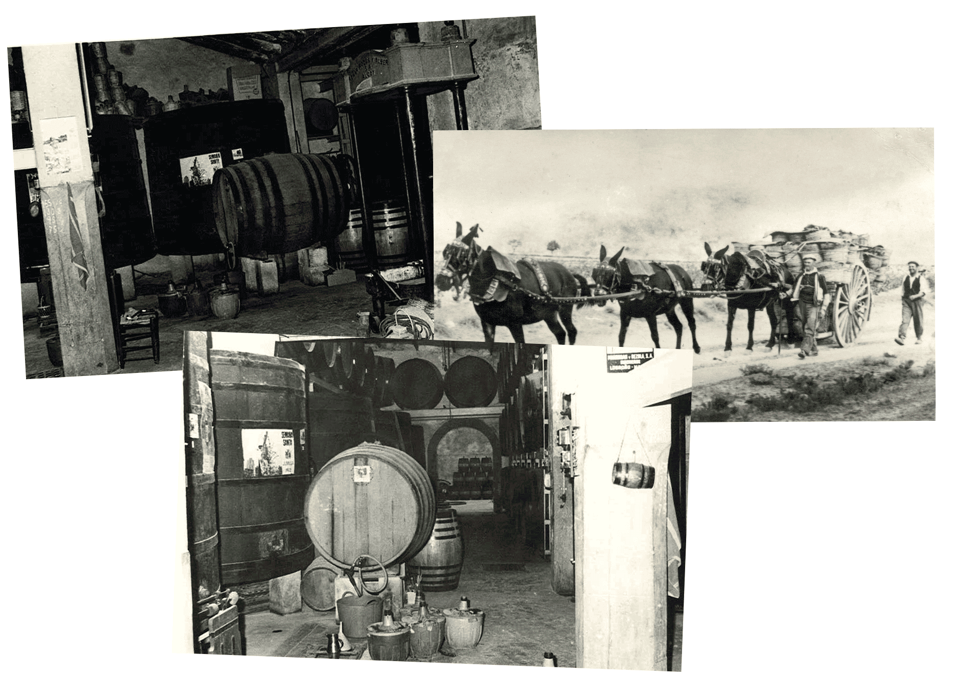 Bodegas Silvano Garcia