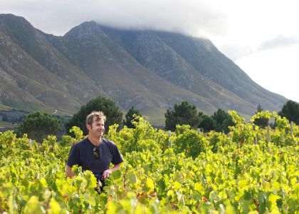 Newton Johnson Vineyards
