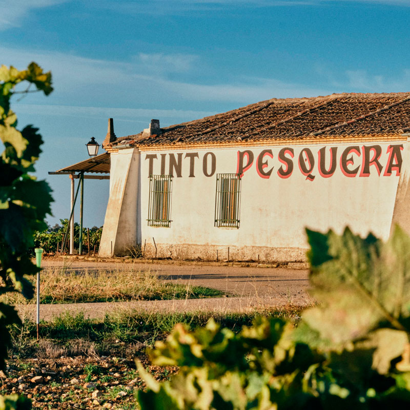 Alejandro F. Tinto Pesquera