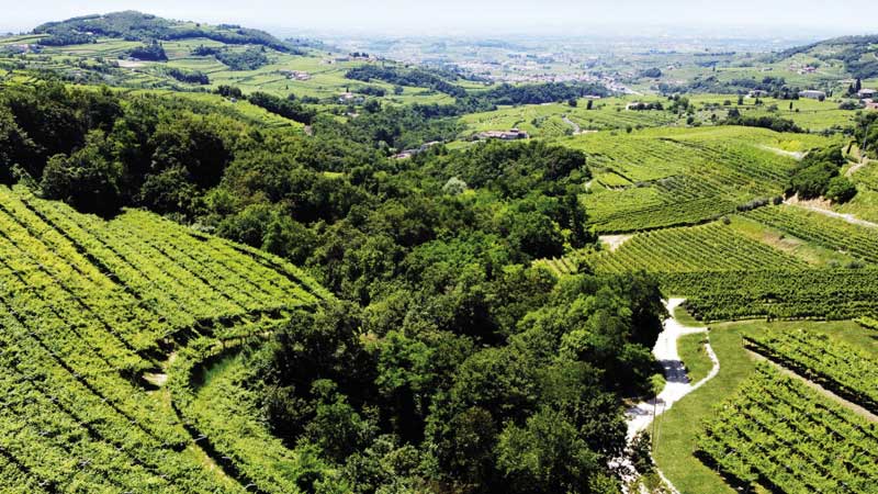 Cantina Vini Armani A. Srl