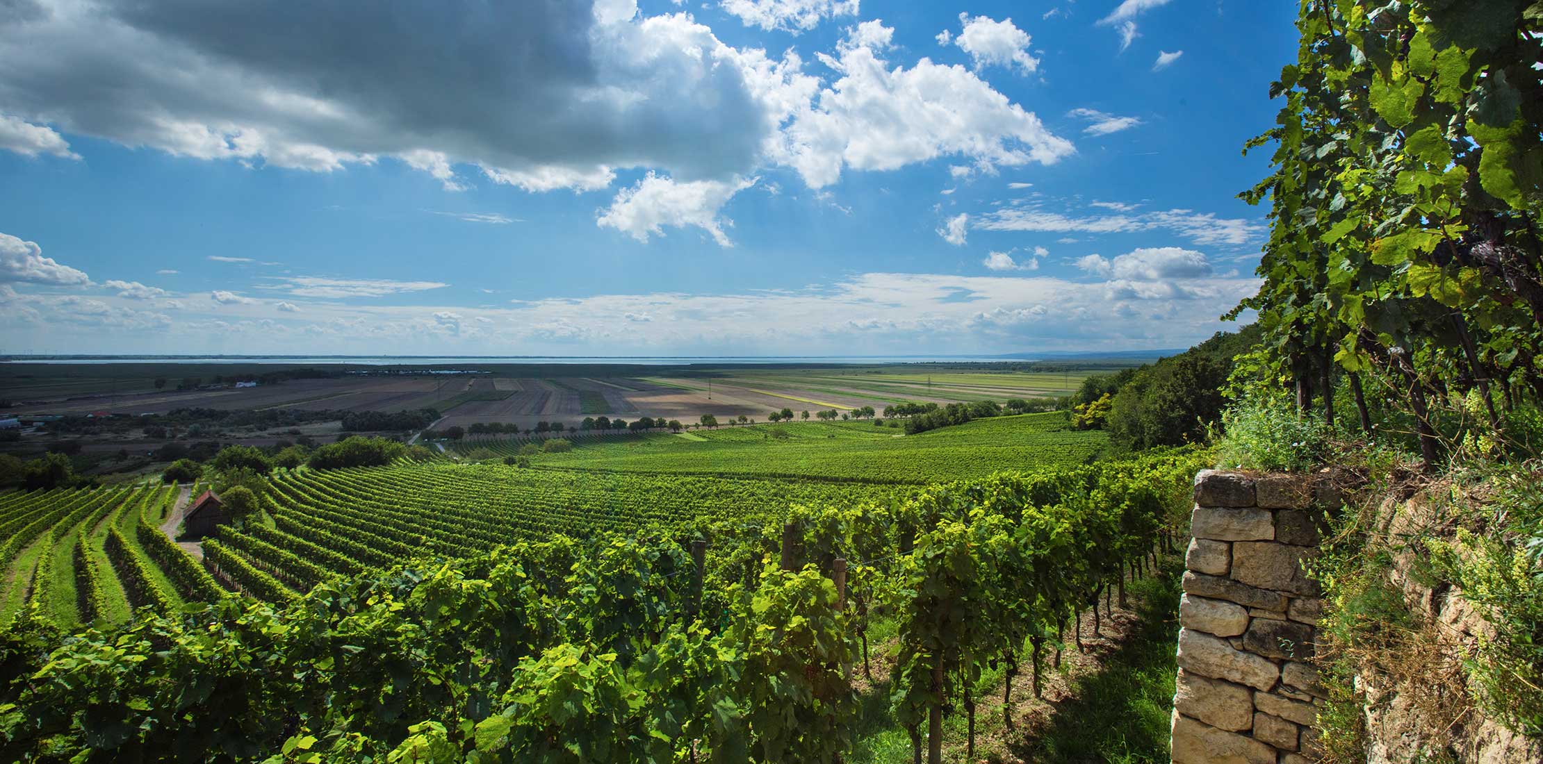 Weingut Umathum