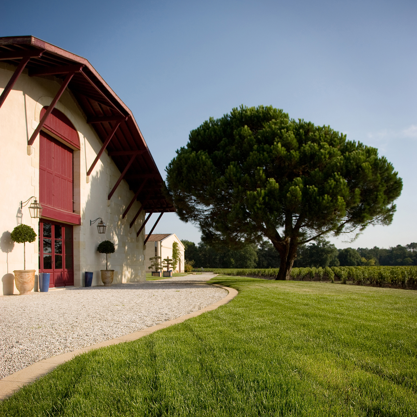 Domaine de Chevalier