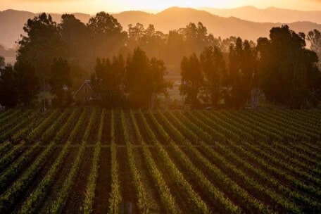 Schug Carneros Estate Winery