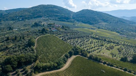 Fattoria Selvapiana