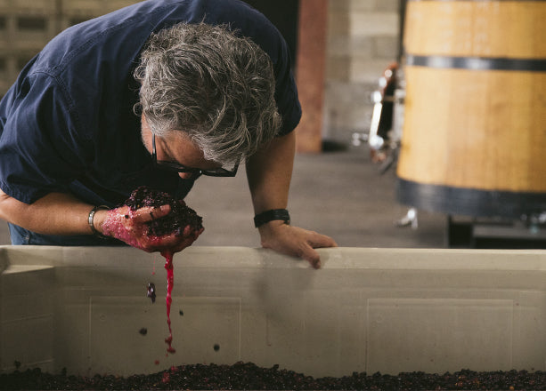 Sandhi Wines
