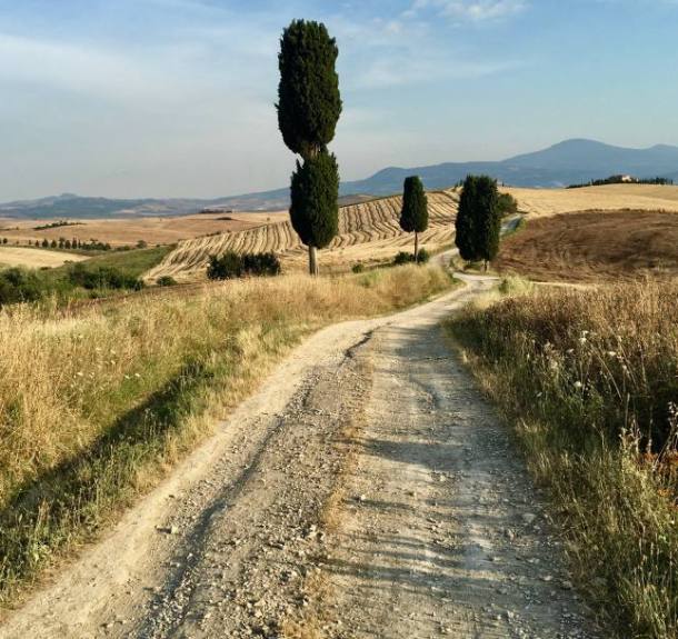 Azienda Agricola Eugenio Bocchino