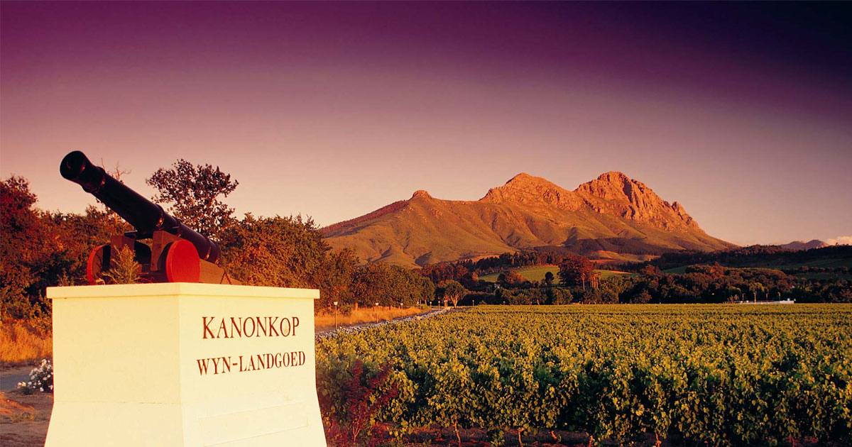 Kanonkop Estate
