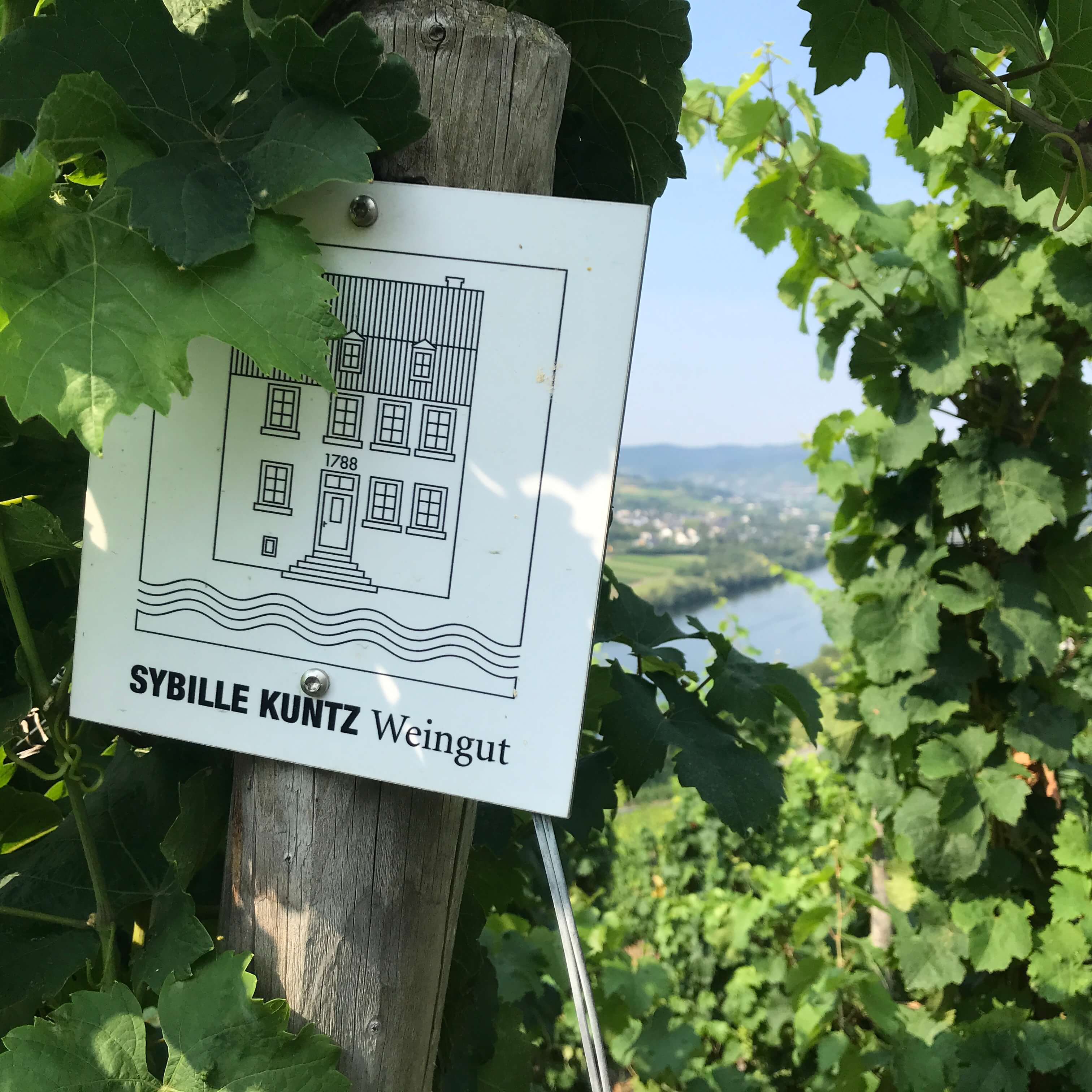 Weingut Sybille Kuntz