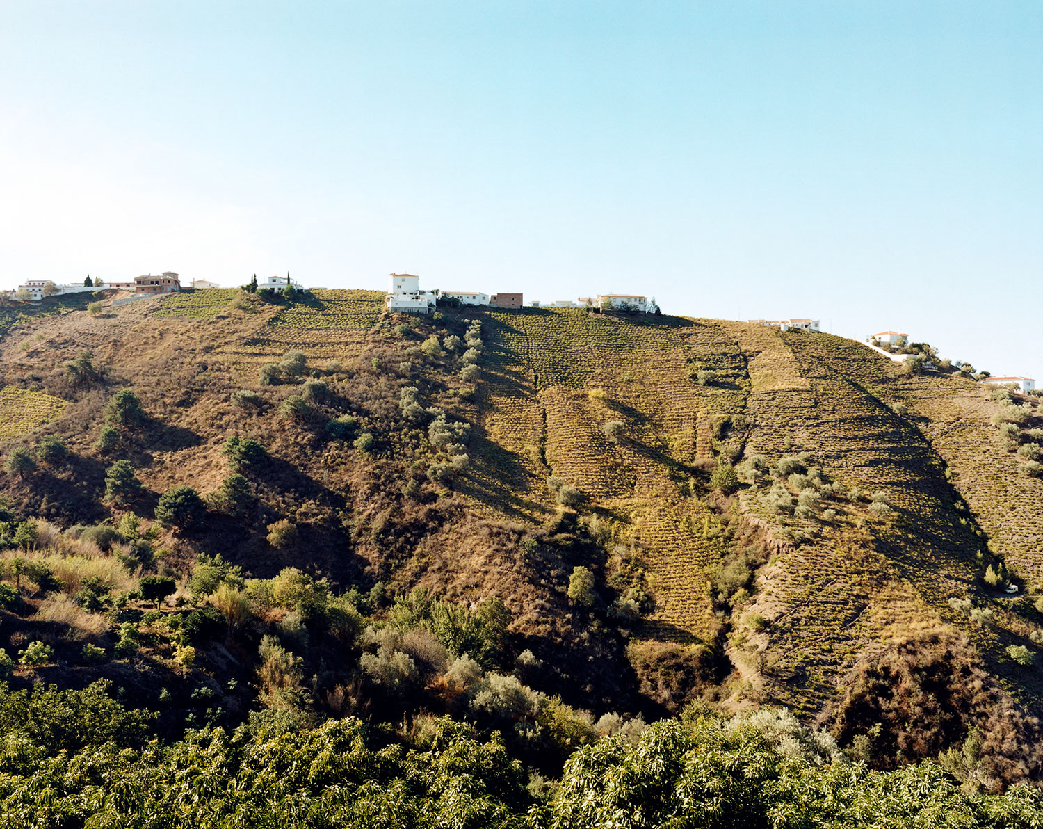 Bodegas Lanzaga - Telmo Rodriguez