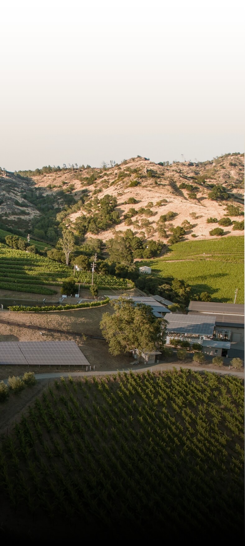 Shafer Vineyards