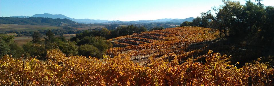 West Wines