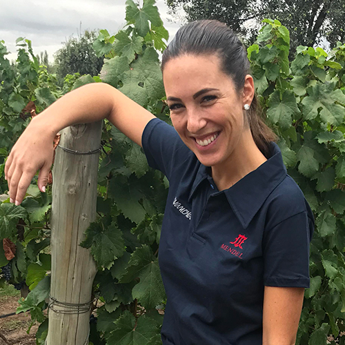 Mendel Wines