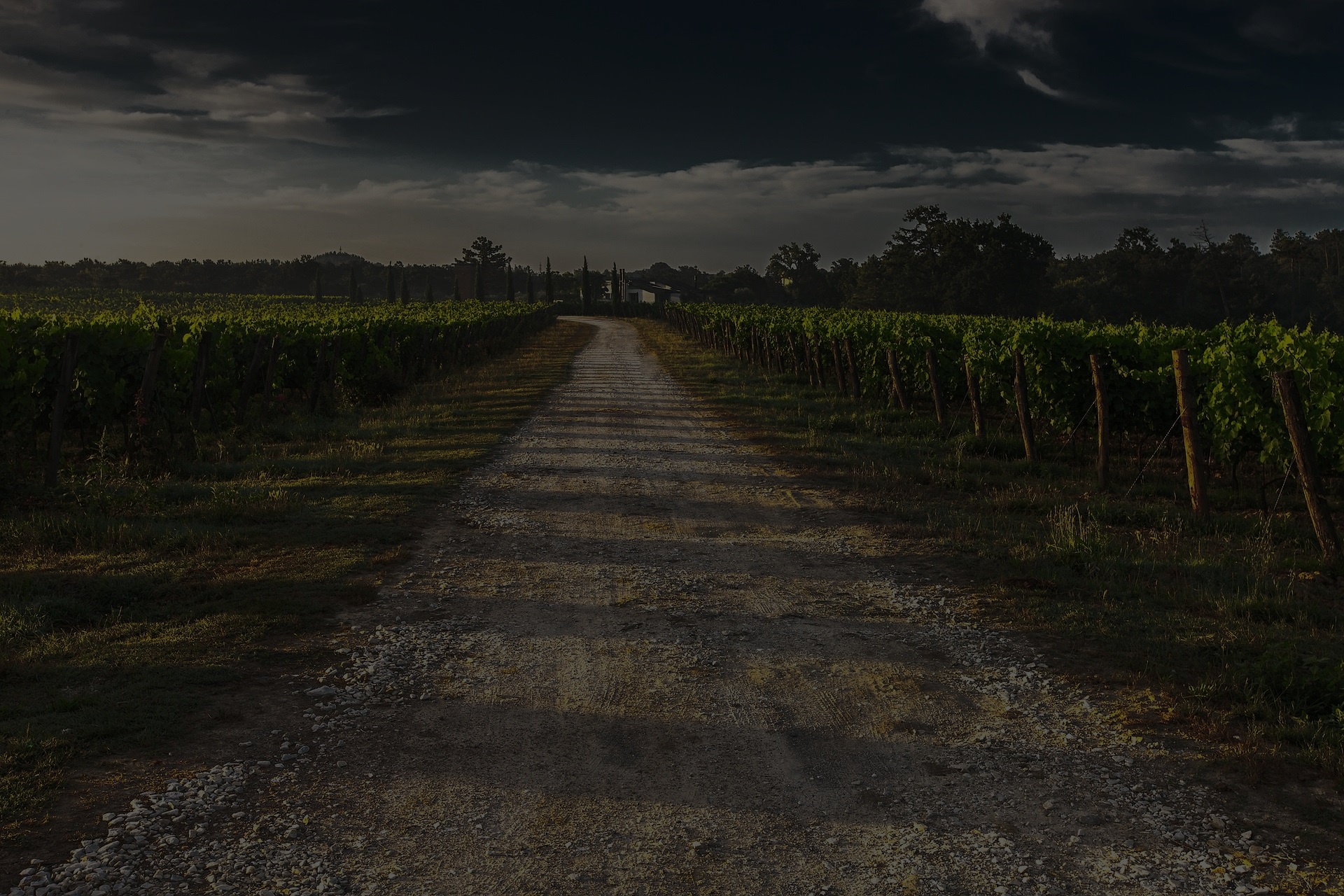 Limestone Coast Wines