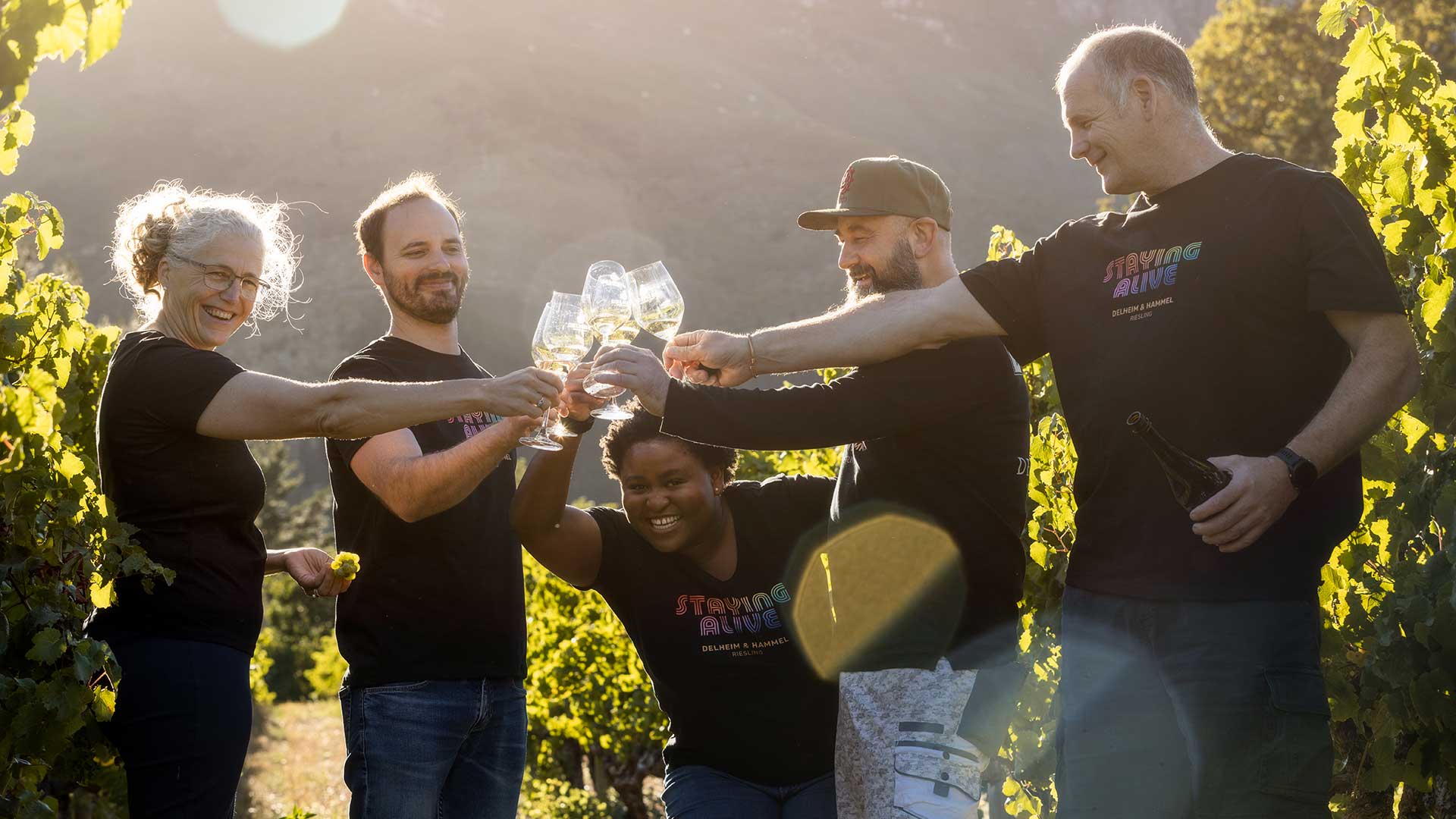 Delheim Wines