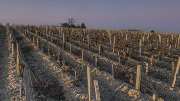 Chateau Graves de Pez