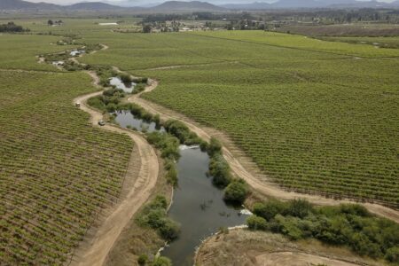 Viña Concha y Toro S.A.