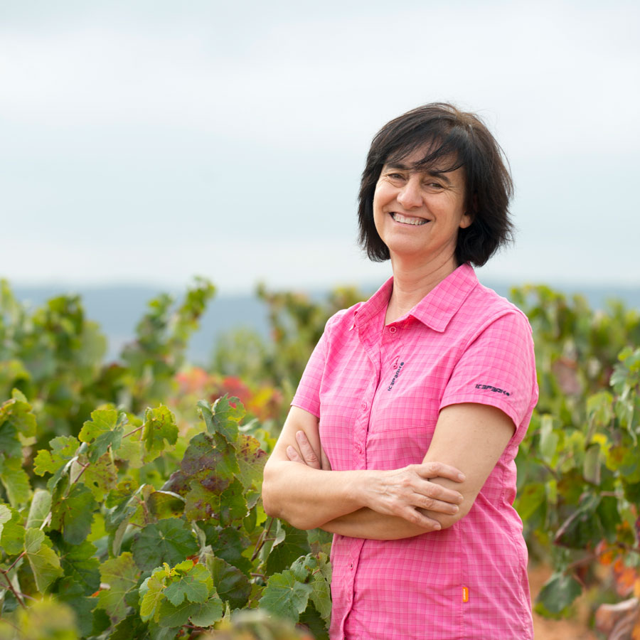 Bobal Wine Cellars S.L.